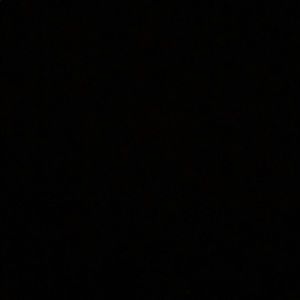 Meet your Posher, Rose